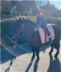 Veranstaltungsbild Reiten für Kinder
Spiel & Spaß mit dem Pferd I